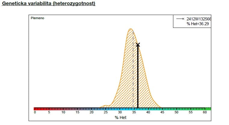2025-07-14-Heterozygotnost-Fena číslo 4.jpg